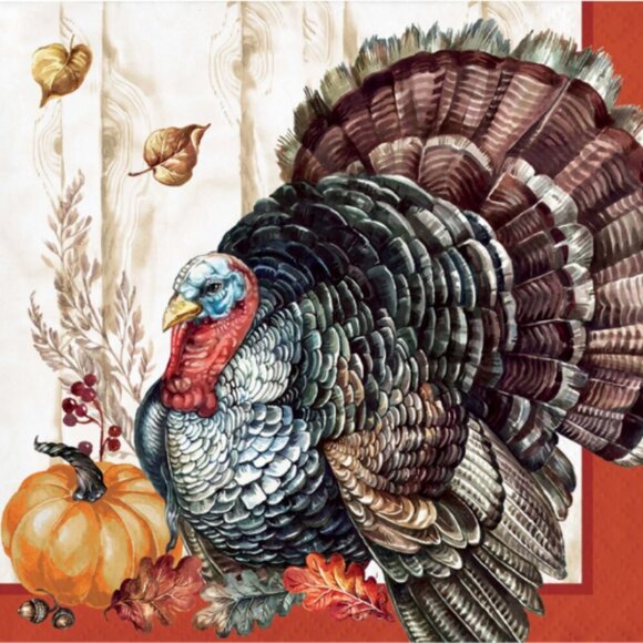 128 Timeless Turkey 2-Ply Thanksgiving Christmas New Year Party Napkins Tissues - Picture 2 of 4